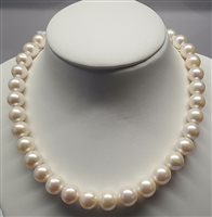 Padova - via Armistizio , 13/B - Collar Mazzucato Gioielli Mujer in Perlas Perla 25P5 - 25P5